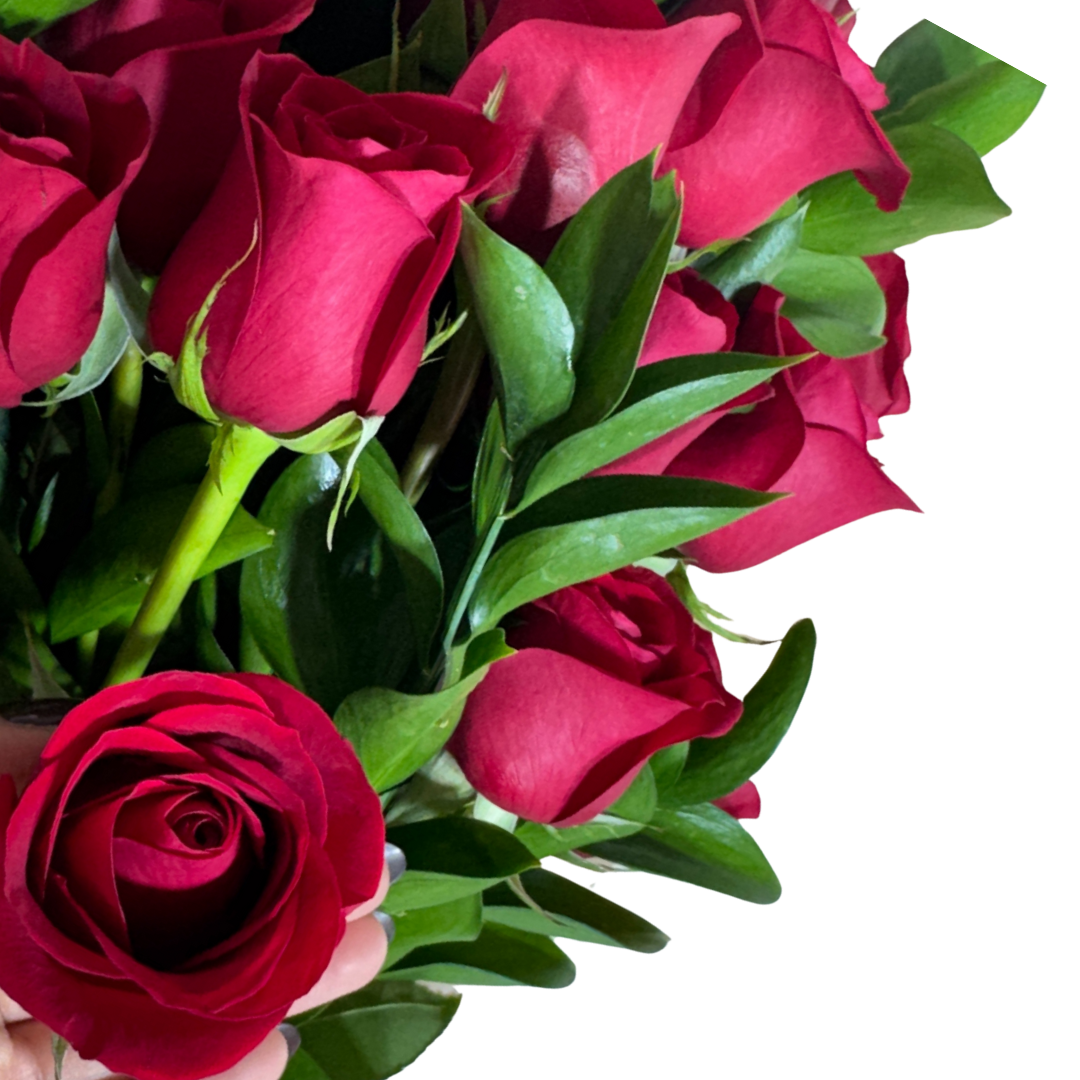 Ramo de 24 Rosas Rojas con Follaje