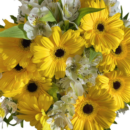 Gerberas Amarillas con Astromelia en Florero