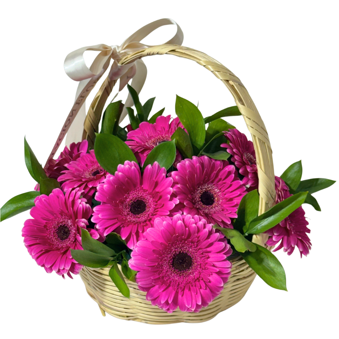 Canasta de Gerberas Fucsia con Follaje