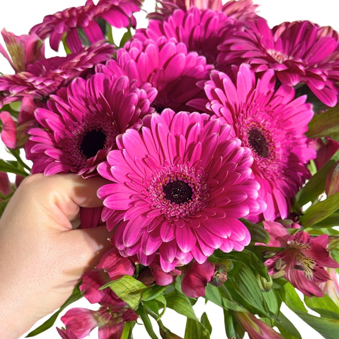 Gerberas Fucsia con Astromelias en Florero