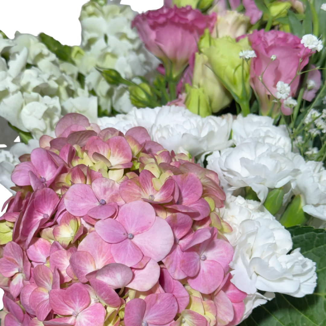 Ramo de Hortensia y Lisianthus Rosa con Clavelina y Perrito Blanco