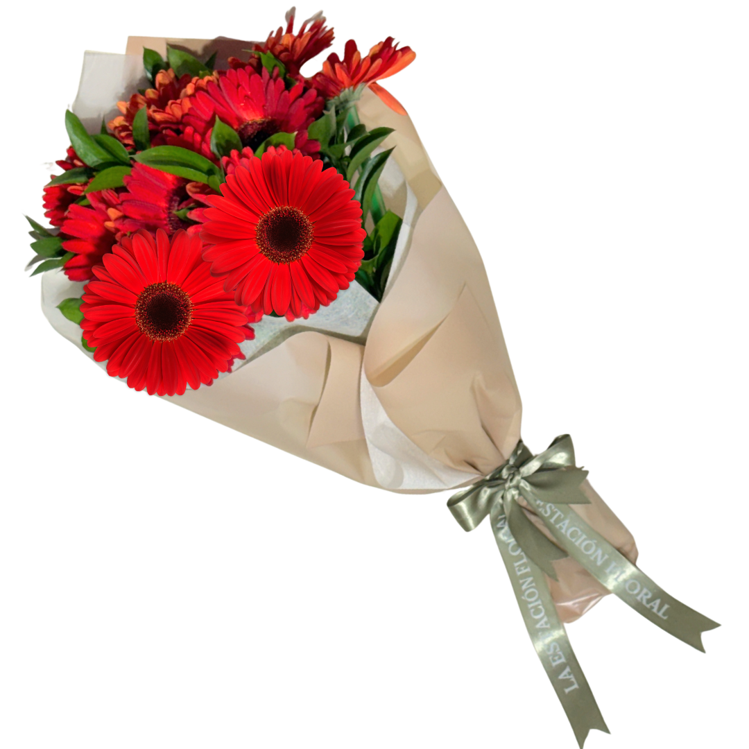 Ramo de Gerberas Rojas con Follaje