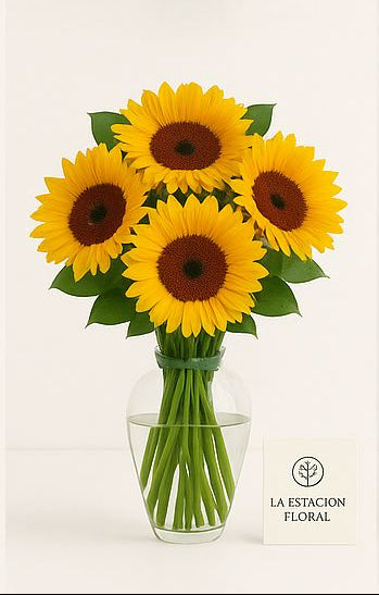 Girasoles