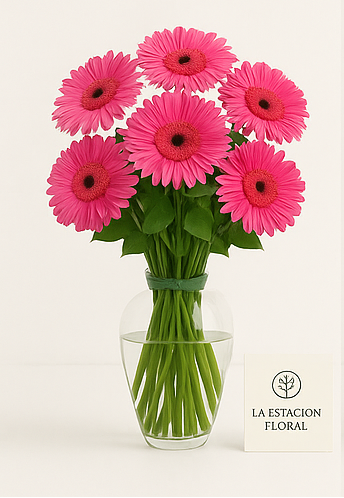 12 Gerberas en Jarrón