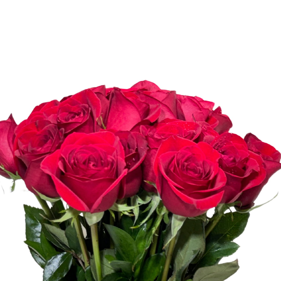 24 Rosas Rojas en Florero con Follaje