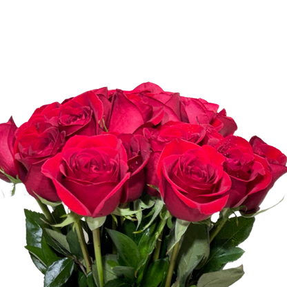 24 Rosas Rojas en Florero con Follaje