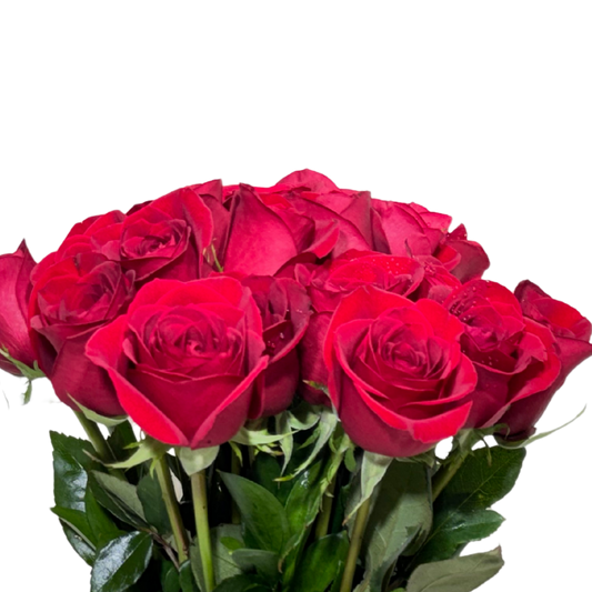 24 Rosas Rojas en Florero con Follaje