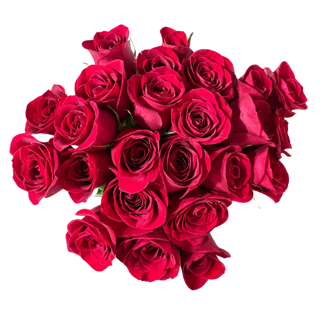 24 Rosas Rojas en Florero con Follaje