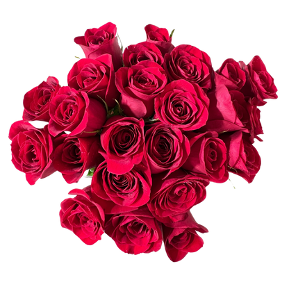 24 Rosas Rojas en Florero con Follaje