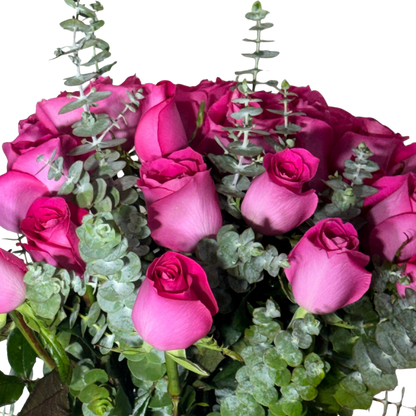 24 Rosas Fucsia en Florero con Follaje