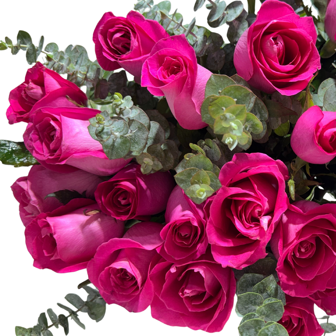 24 Rosas Fucsia en Florero con Follaje