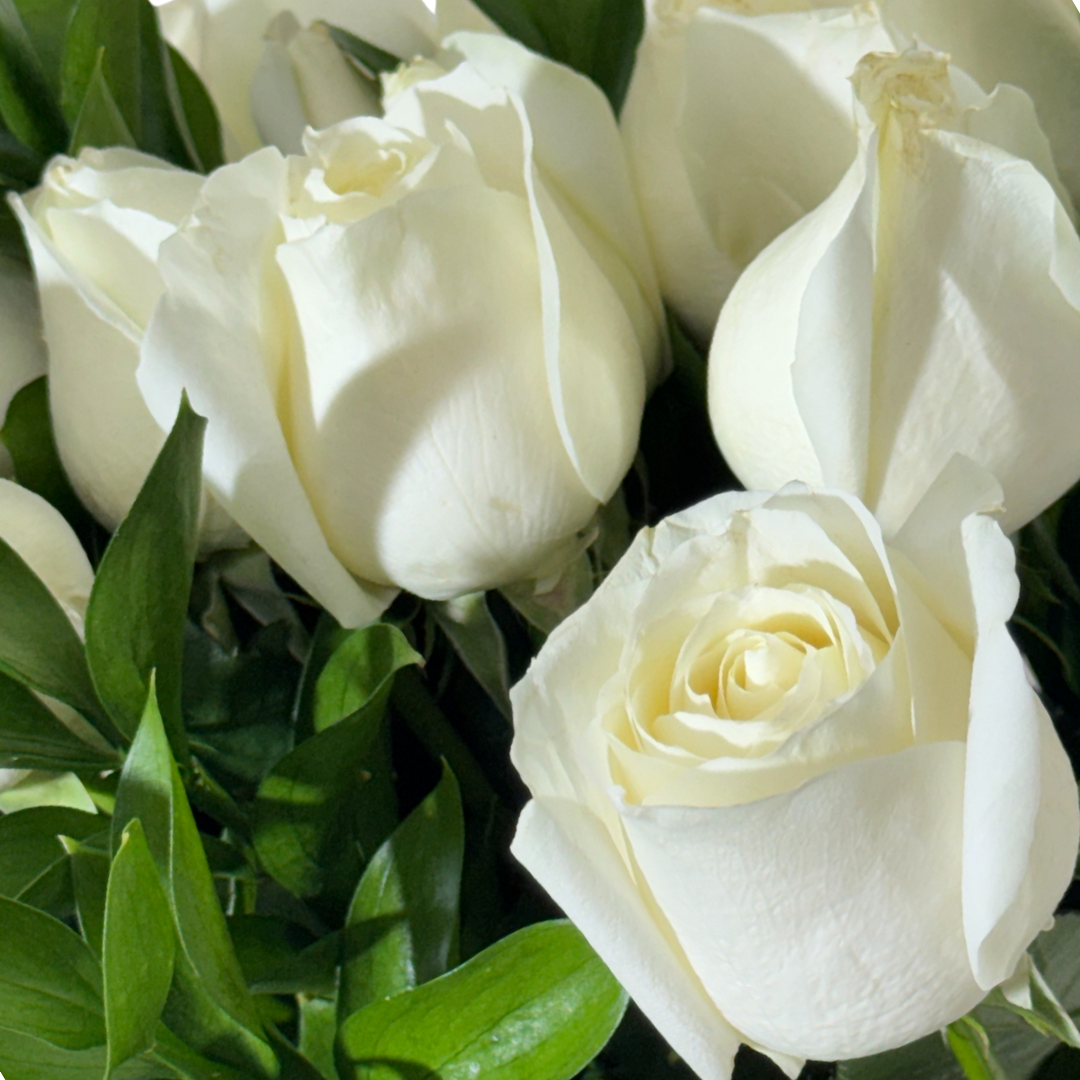 24 Rosas Blancas en Florero con Follaje