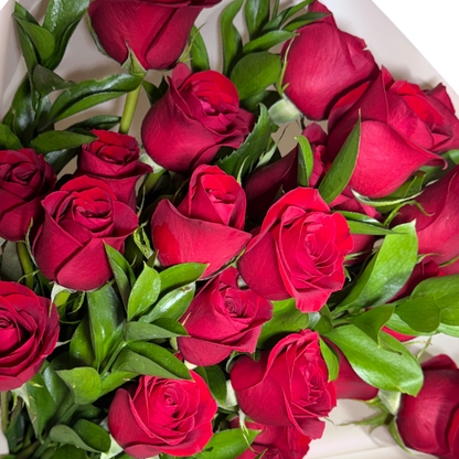 Ramo de 24 Rosas Rojas con Follaje