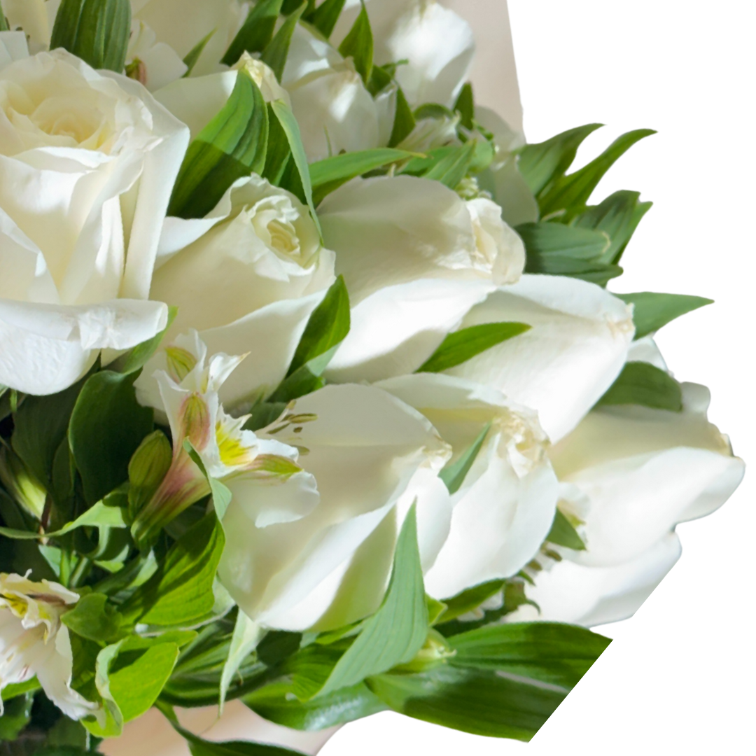 Ramo de 24 Rosas Blancas con Astromelia