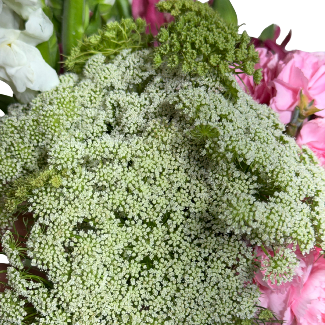 Clavelinas Rosas y Astromelias con Perrito y Follaje en Florero