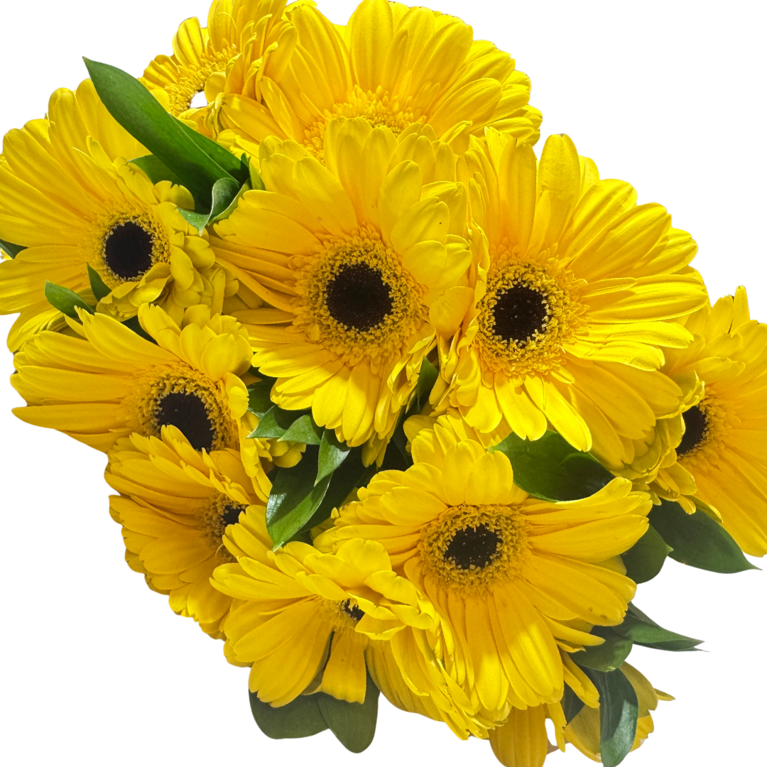 Ramo de Gerberas Amarillas con Follaje