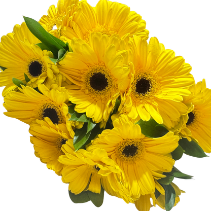 Ramo de Gerberas Amarillas con Follaje
