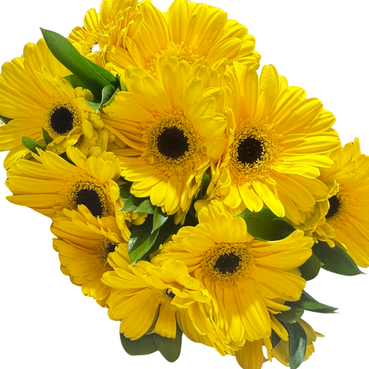 Ramo de Gerberas Amarillas con Follaje