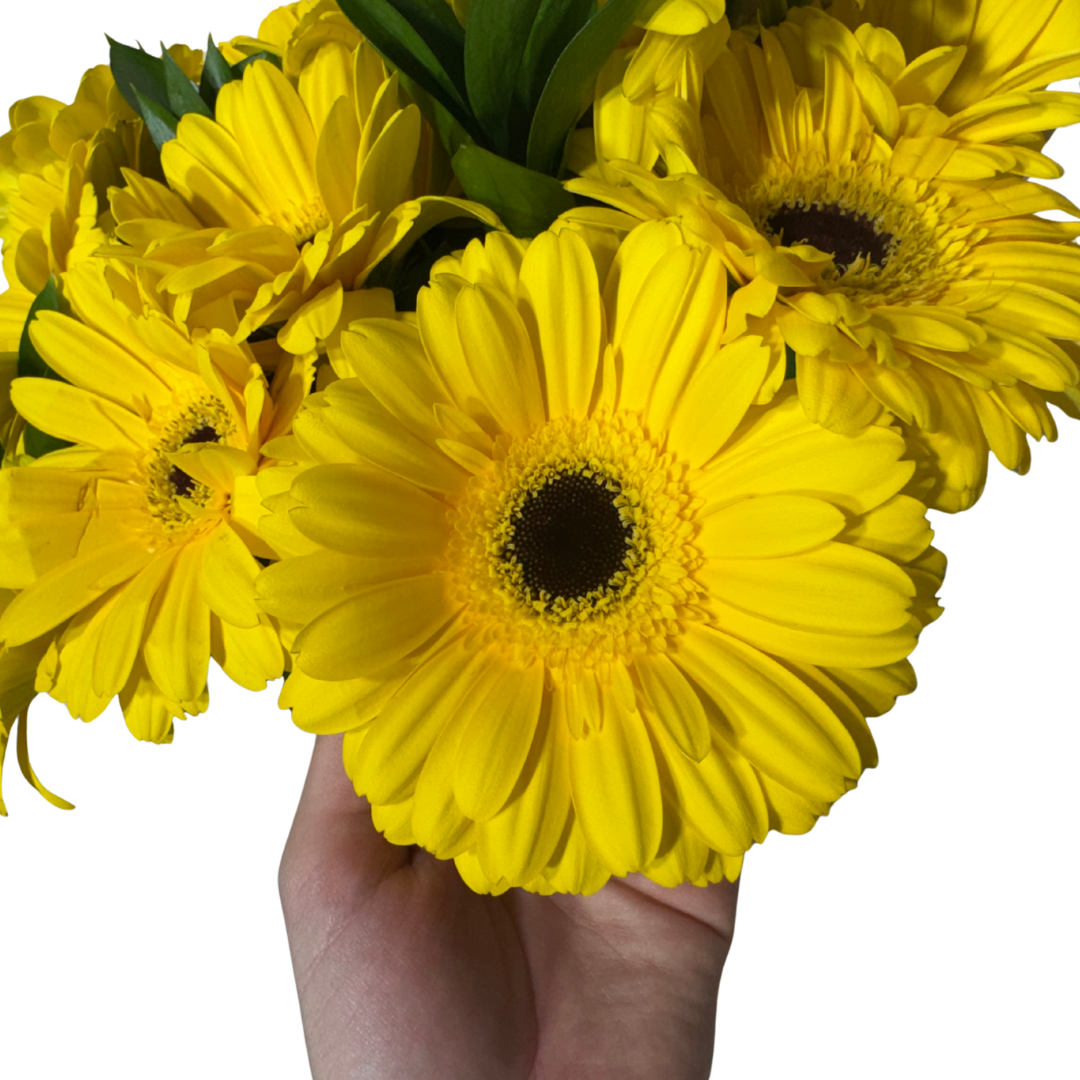 Ramo de Gerberas Amarillas con Follaje