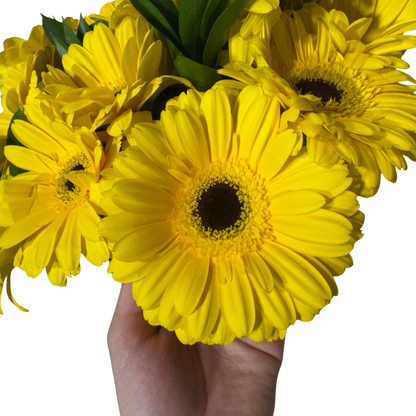 Ramo de Gerberas Amarillas con Follaje