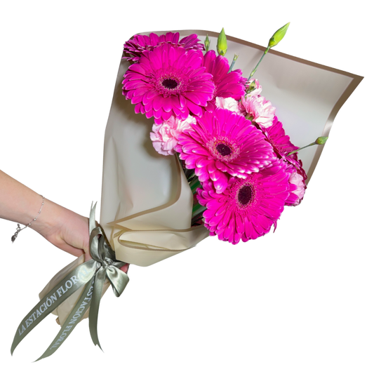 Ramo de Gerberas Fucsia con Clavelina Rosa