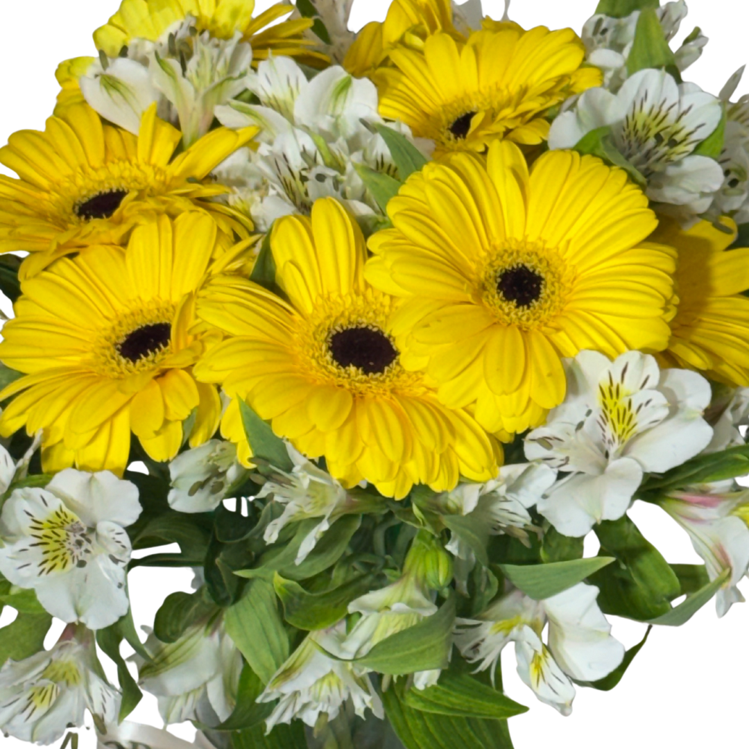 Gerberas Amarillas con Astromelia en Florero