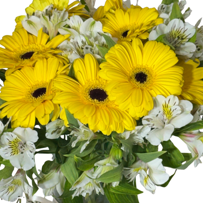 Gerberas Amarillas con Astromelia en Florero