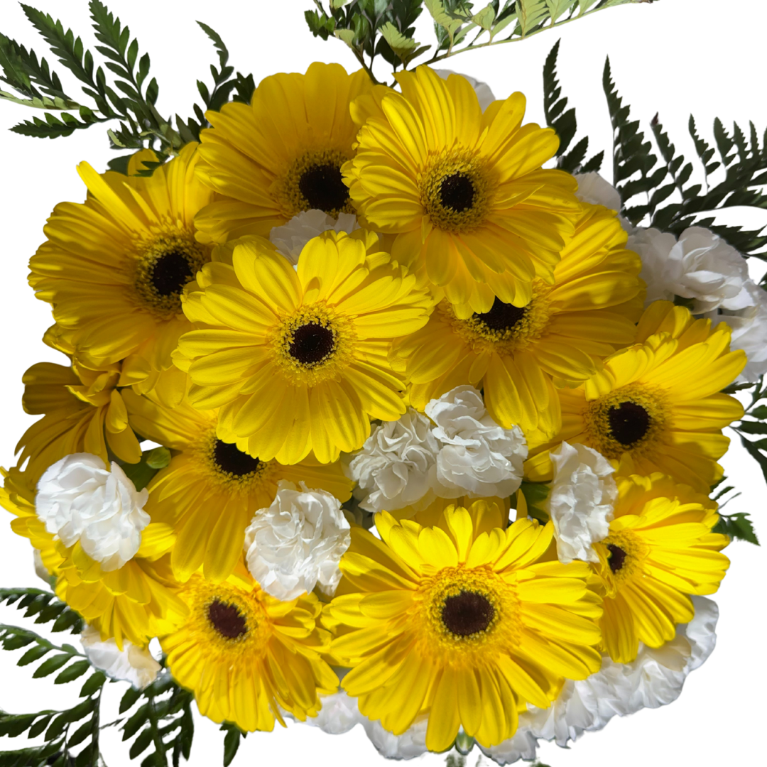 Gerberas Amarillas y Clavelinas Blancas con Follaje en Florero