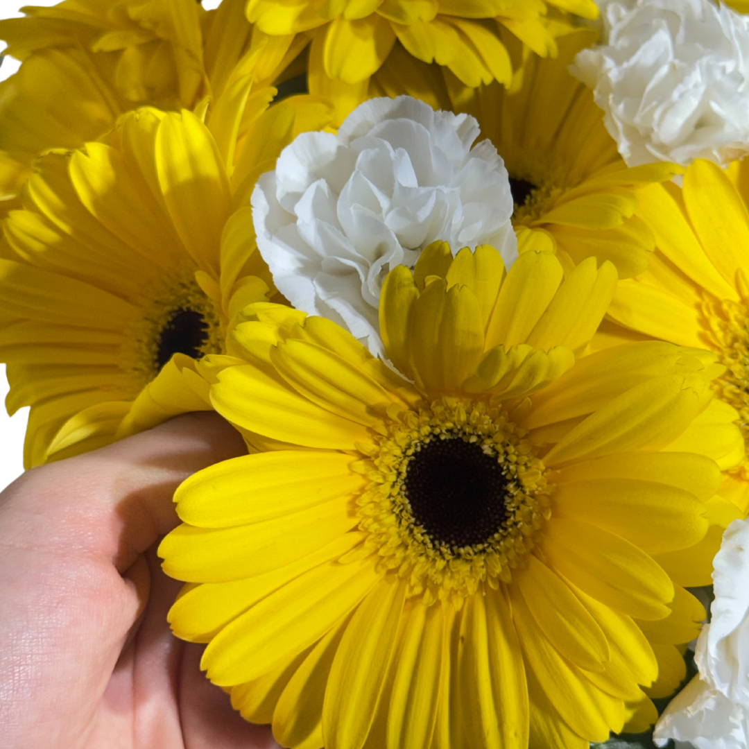 Gerberas Amarillas y Clavelinas Blancas con Follaje en Florero