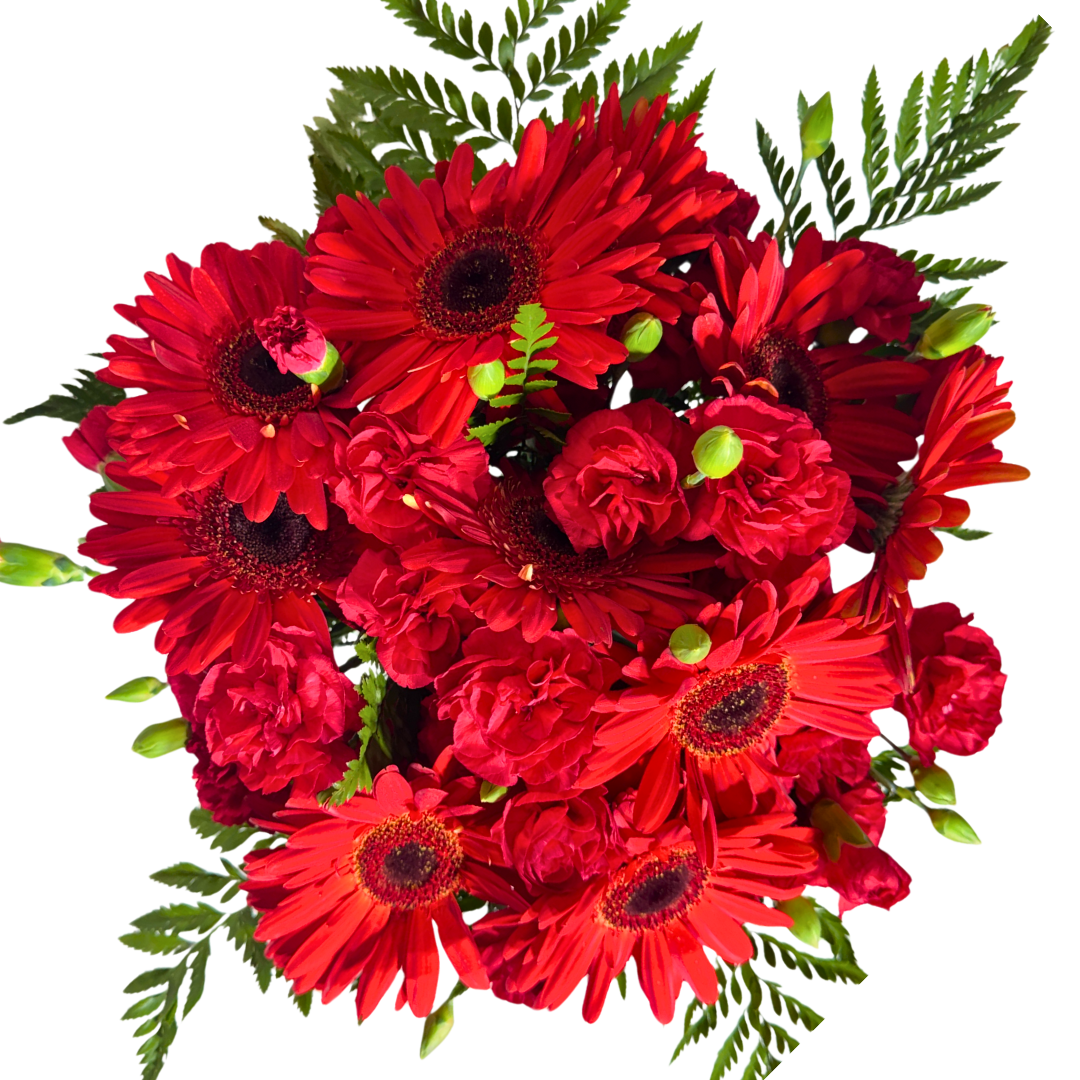 Gerberas y Clavelinas Rojas con Follaje en Florero