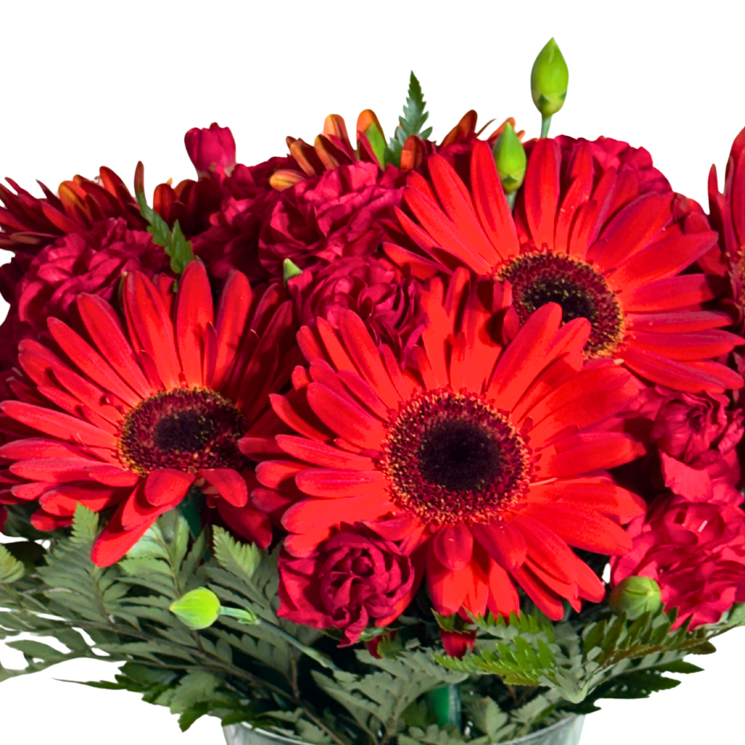 Gerberas y Clavelinas Rojas con Follaje en Florero