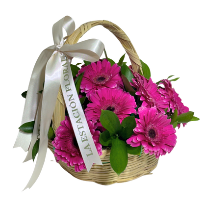 Canasta de Gerberas Fucsia con Follaje