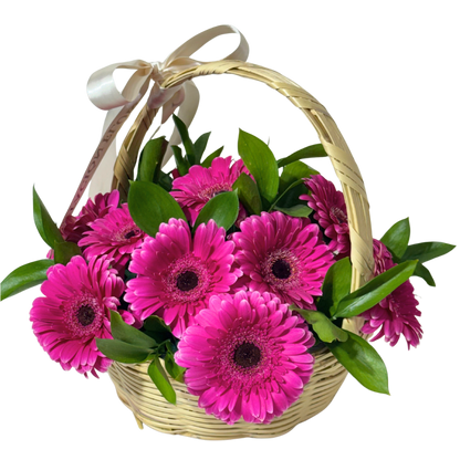 Canasta de Gerberas Fucsia con Follaje