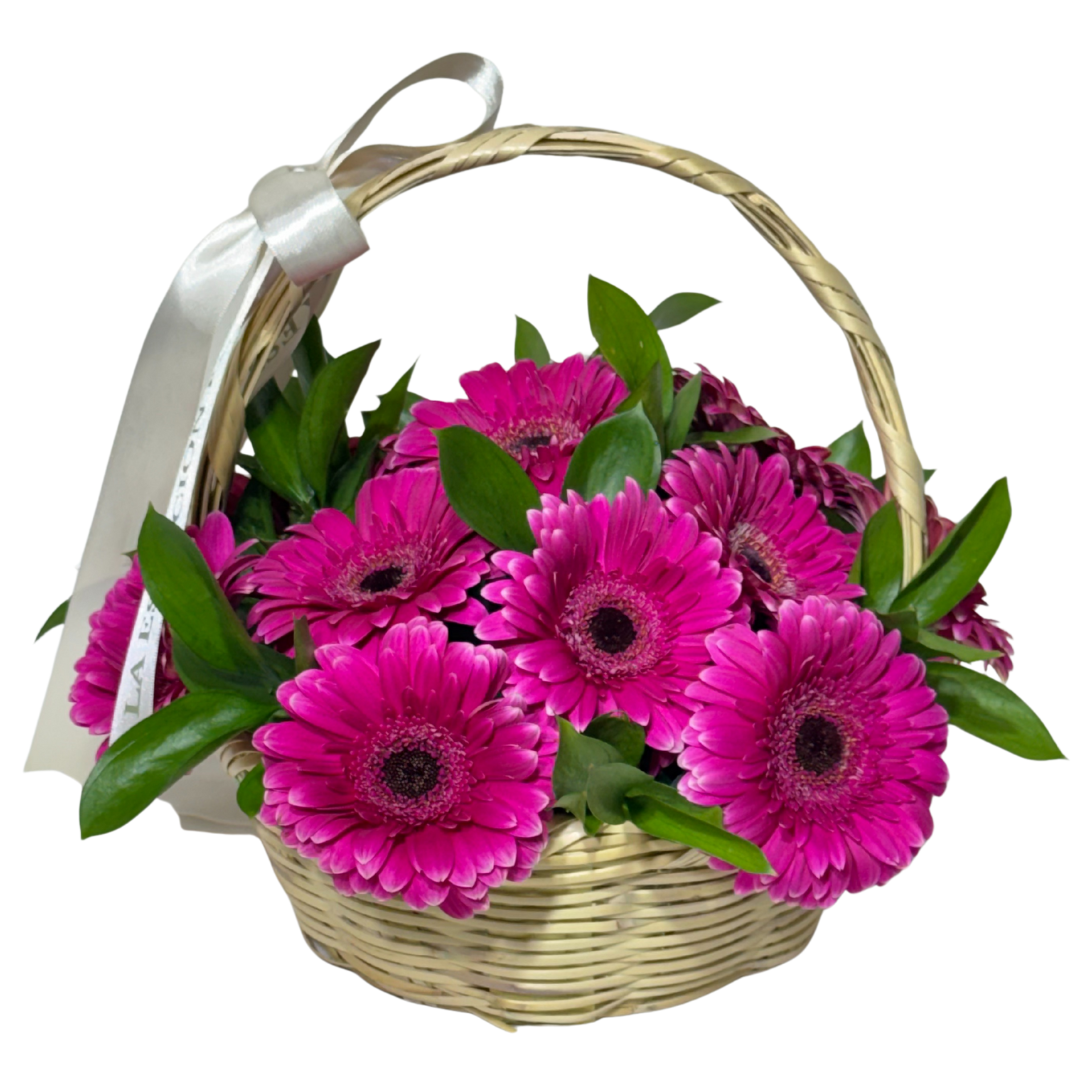 Canasta de Gerberas Fucsia con Follaje