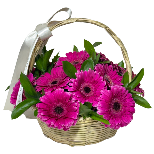 Canasta de Gerberas Fucsia con Follaje