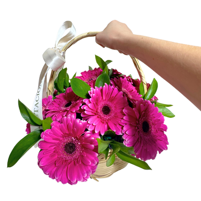 Canasta de Gerberas Fucsia con Follaje