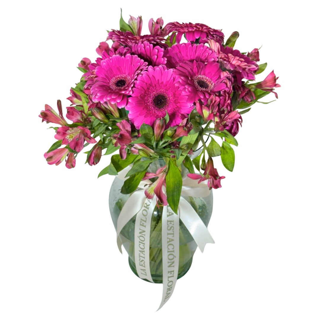 Gerberas Fucsia con Astromelias en Florero