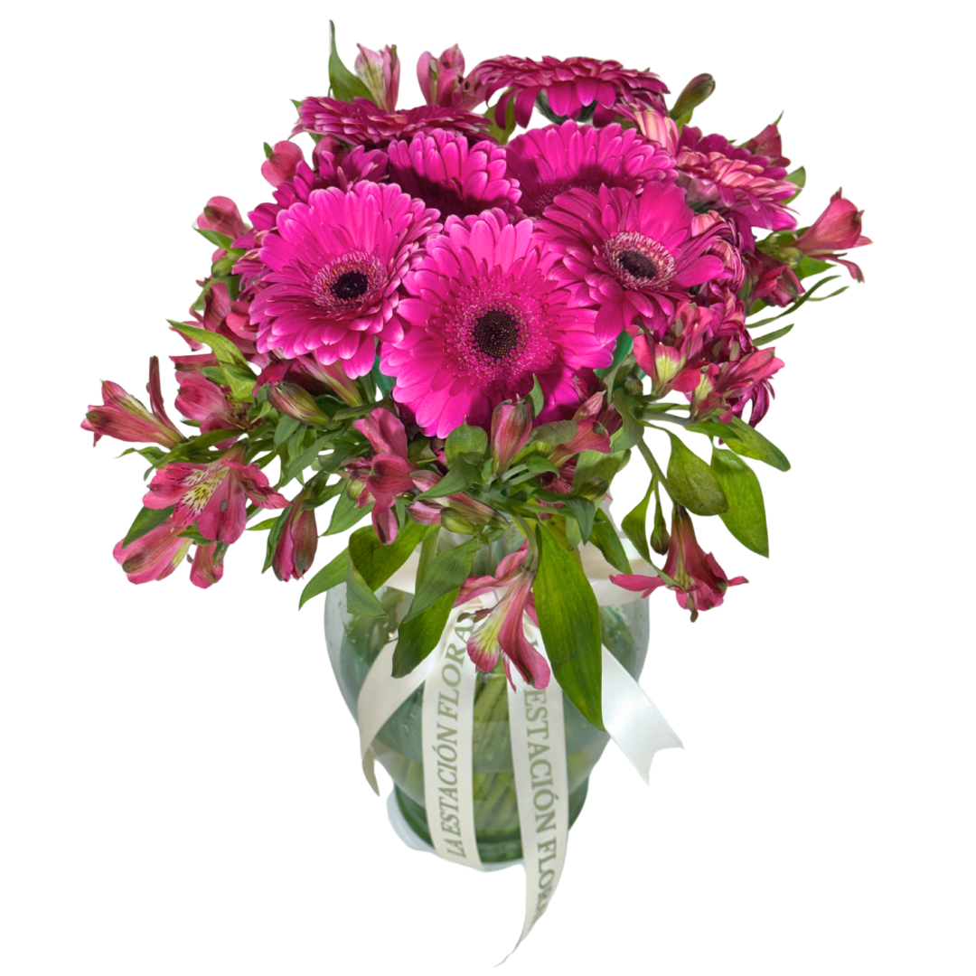 Gerberas Fucsia con Astromelias en Florero