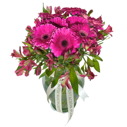 Gerberas Fucsia con Astromelias en Florero