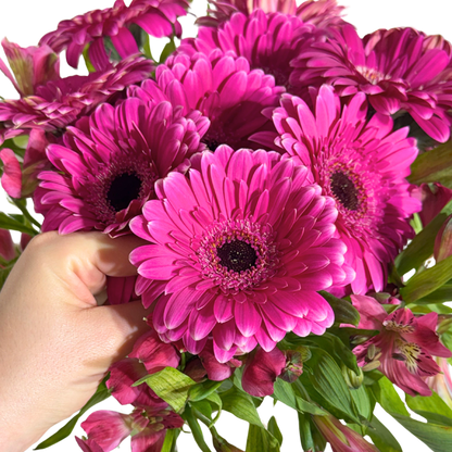 Gerberas Fucsia con Astromelias en Florero