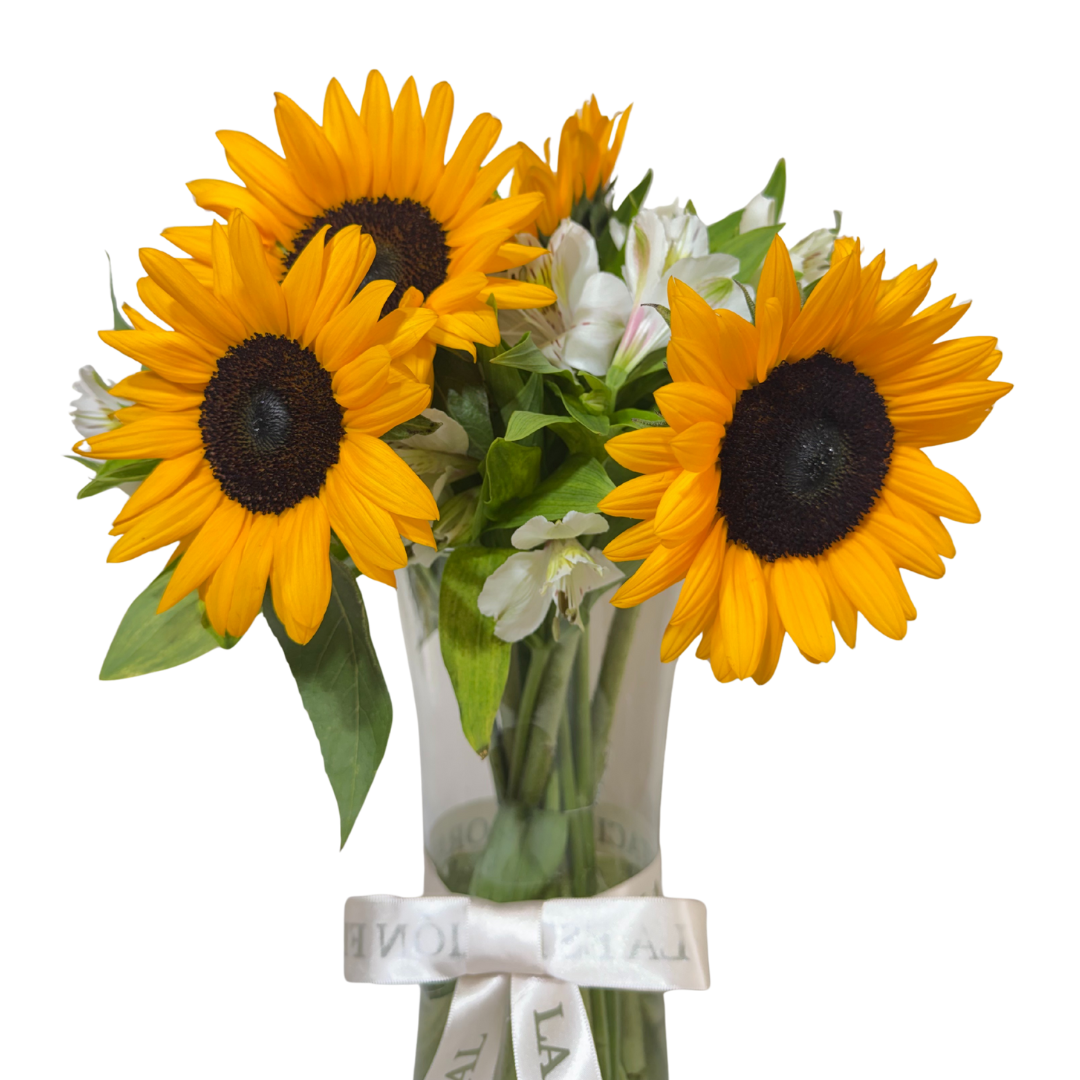 Girasoles con Astromelias Blancas en Florero