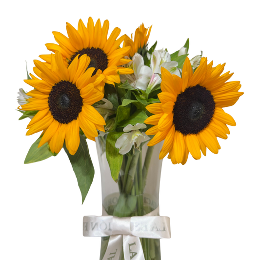 Girasoles con Astromelias Blancas en Florero