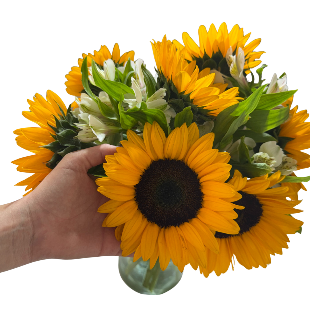 Girasoles con Astromelias Blancas en Florero