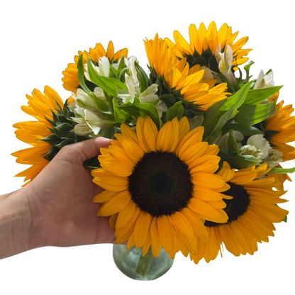 Girasoles con Astromelias Blancas en Florero