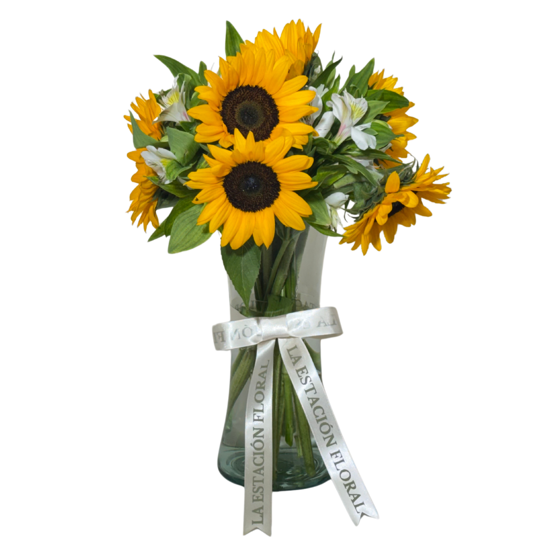 Girasoles con Astromelias Blancas en Florero