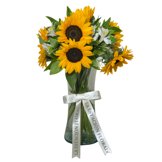 Girasoles con Astromelias Blancas en Florero