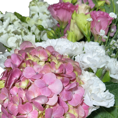 Ramo de Hortensia y Lisianthus Rosa con Clavelina y Perrito Blanco