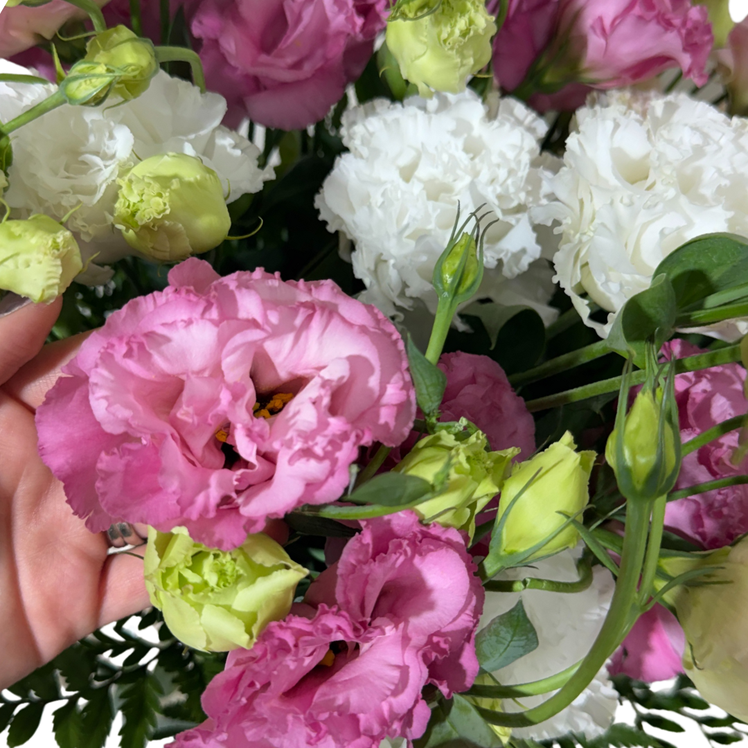 Lisianthus Rosa y Blanco en Florero con Follaje