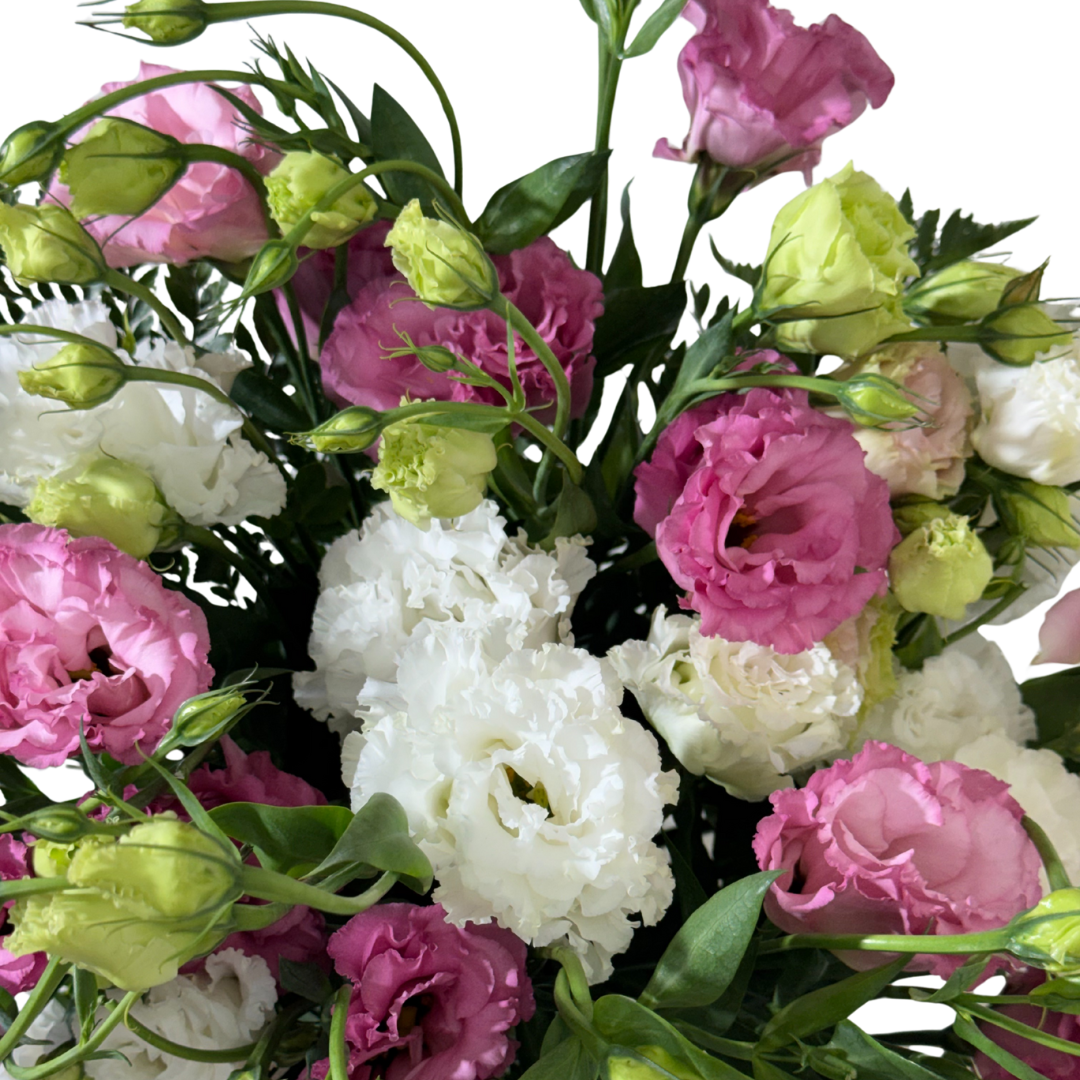 Lisianthus Rosa y Blanco en Florero con Follaje