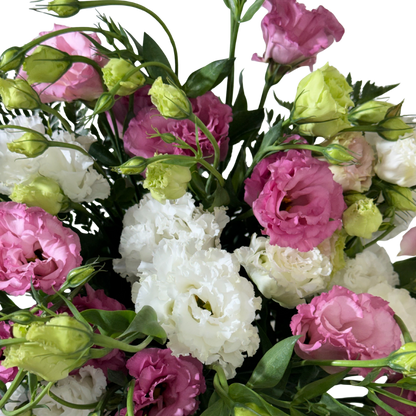 Lisianthus Rosa y Blanco en Florero con Follaje